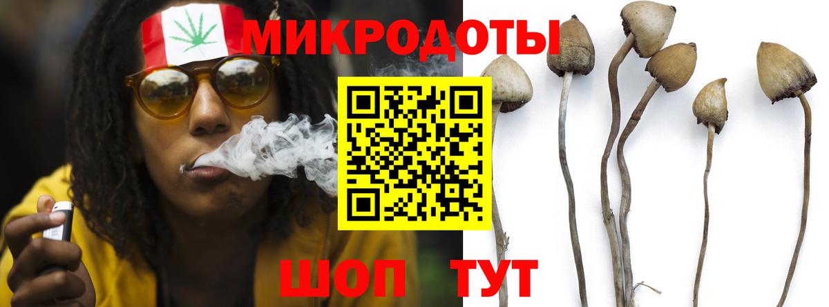 Галлюциногенные грибы мицелий Кисловодск